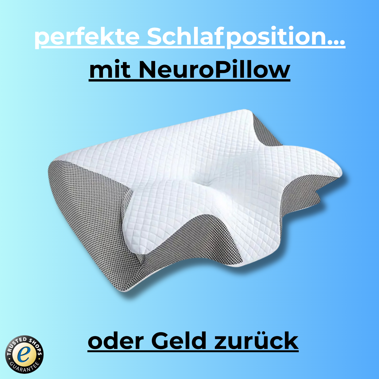 NeuroPillow