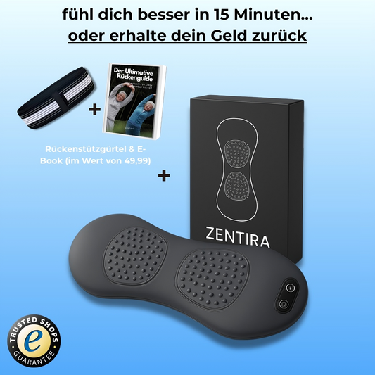 NeuroWave 3 IN 1 Rücken Massage Gerät
